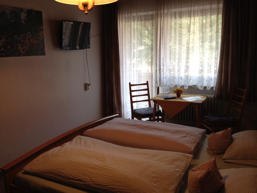 Gasthaus Pension Sternknockel Bodenmais Pokoj fotografie
