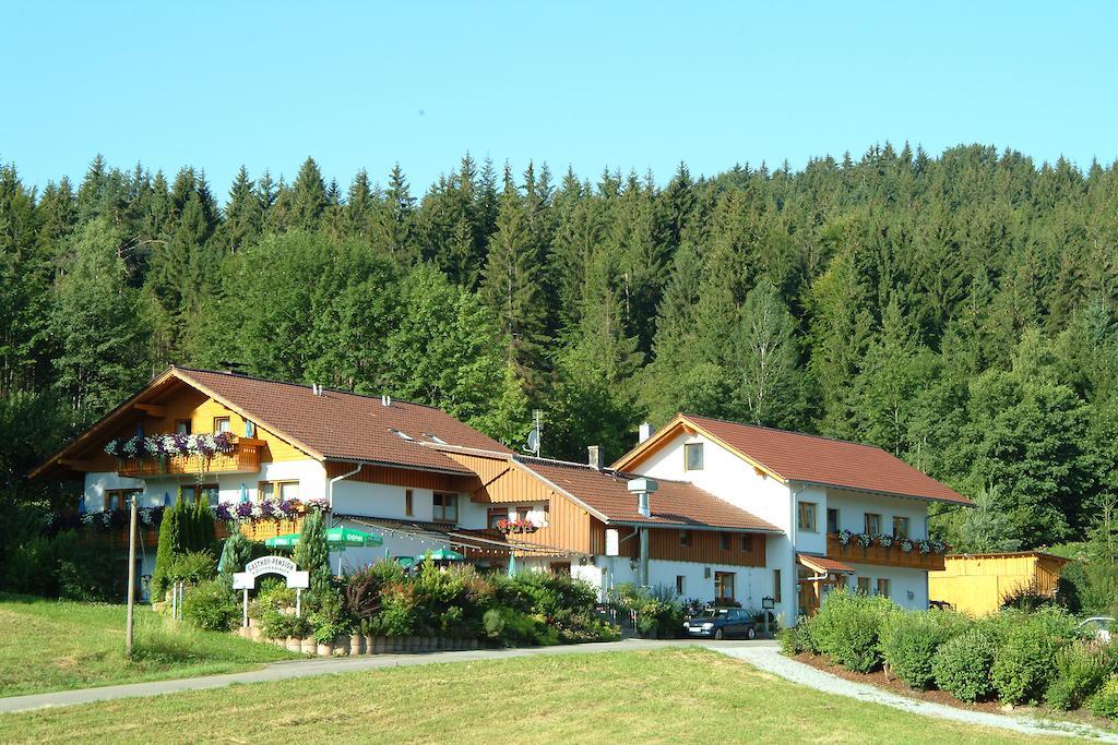 Gasthaus Pension Sternknockel Bodenmais Exteriér fotografie
