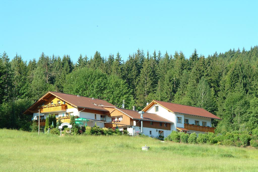Gasthaus Pension Sternknockel Bodenmais Exteriér fotografie