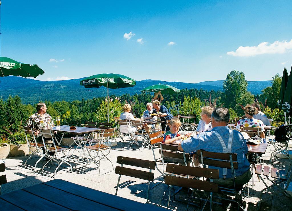 Gasthaus Pension Sternknockel Bodenmais Exteriér fotografie