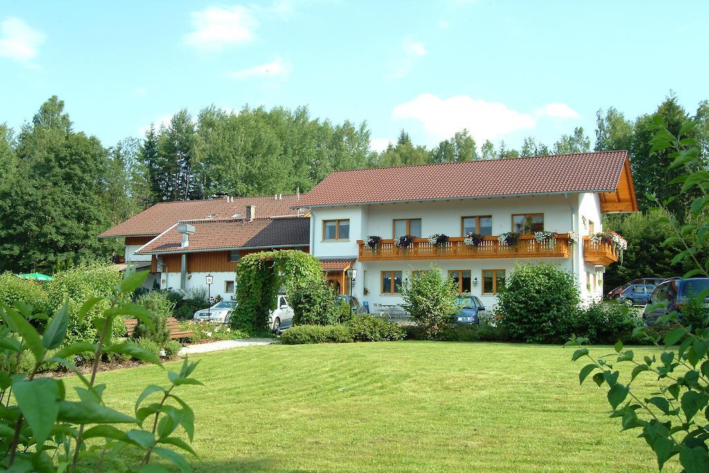 Gasthaus Pension Sternknockel Bodenmais Exteriér fotografie