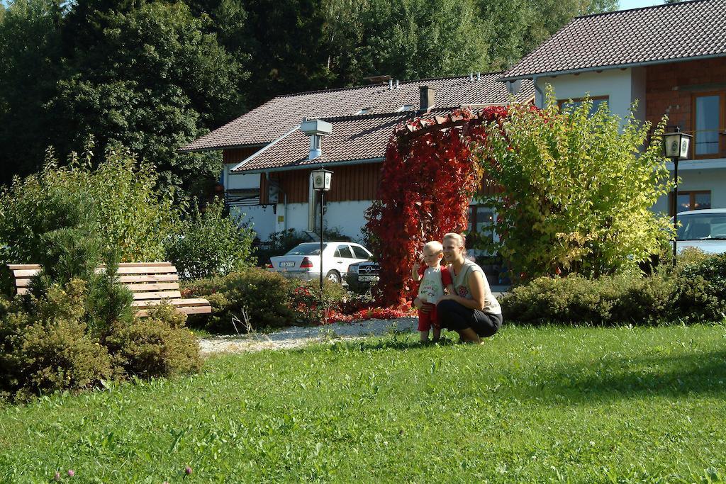 Gasthaus Pension Sternknockel Bodenmais Exteriér fotografie